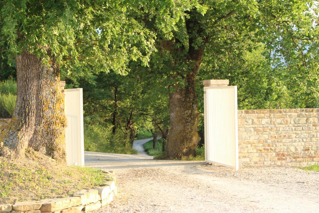 Serra San Quirico Amico Country House מראה חיצוני תמונה