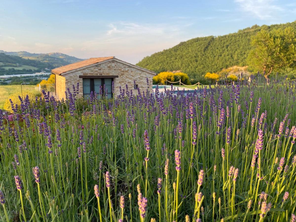 Serra San Quirico Amico Country House מראה חיצוני תמונה