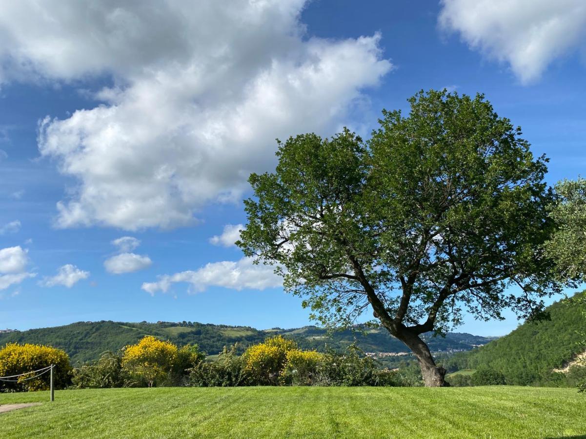 Serra San Quirico Amico Country House מראה חיצוני תמונה